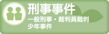 刑事事件